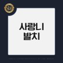 세실치과의원 이미지