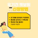 사단법인 동부 유기동물보호협회 | 부산 유기견 입양 시 펫보험 지원｜조건·신청방법 한눈에 보기