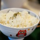 부평119안전센터 이미지