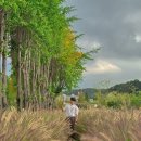 옛철길공원 | 경남 진주 가볼만한곳 가을 정취 시간이 멈춘 철길 옛 진주역 철도문화공원