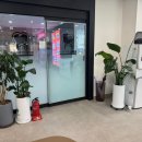 건플란트치과의원 이미지