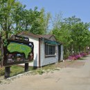 나무고아원입구 이미지