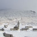 1월 13일 (수)[ 07:00 출발] 전남 광주 국립공원 무등산(해발1,187m) 새인봉 눈꽃산행 이미지
