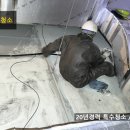 세진토탈크리닝