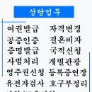 DK국제여행사