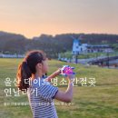 진하자동차정비 | 울산 간절곶 연날리기 데이트 명소 아름다운 등대 포토존