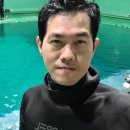 씨집시 이미지