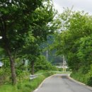 장원오리 이미지