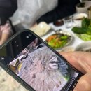 부모님 극찬 강릉맛집 리스트 고성생선찜,주문진방파제회센터 20호 여주이천,맛가득,데자뷰로스터리