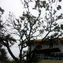 송학초등학교 앞 이미지