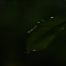 남부해물 이미지