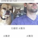 석