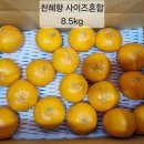 뙤미감성농장