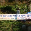 보람사 Daum카페
