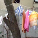 아리랑모텔 이미지