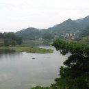 옥 천 Daum카페