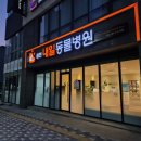 김천 내일동물병원 이미지