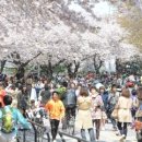 시민공원 남문 인근-3 이미지