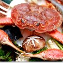 해상공원 대종 아래 이미지