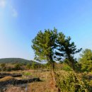 수산1리 이미지