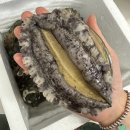 혜지네 | 전복장 맛집 추천! 완도산 활전복으로 만든 혜지네엄마 전복장