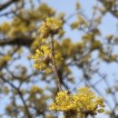 대승이네 이미지