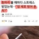 [뉴스보도] 흥미로운 연구, 흰머리가 암 세포 방어 흔적 이미지