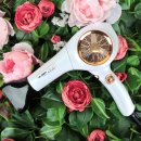 예스미용실 | 예스뷰티 미용실 드라이어 전문가용 헤어드라이기추천