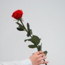 글나래 이미지