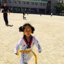 도건태권도 이미지