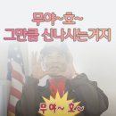 가야아파트 | 가야 센트레빌 아파트 / 롤방충망 시공 후기