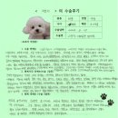 이은복 | [#1459] 짱이(우측 고관절 대퇴골두 절제술)의 수술후기