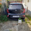 금빛축산 이미지