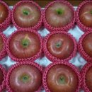 김화자농장 이미지