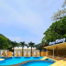 일랑일랑 스테이 이미지