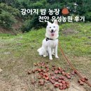 부자농장 | [강아지 밤 농장] 천안 유성농원 반려견 동반 후기｜알밤줍기 체험 가볼만한 곳