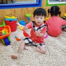 맘스앤키즈카페 Daum카페