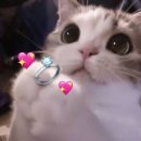 매봉경로당 | 💍 ✨ 스튜디오 코랄