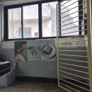 오푸 | [성수카페] 디저트쇼파를 파는 '오푸' 말차쇼파무스케이크 후기