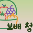 태양청과 이미지