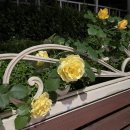 2024 MAY (2)