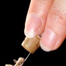 화석 2002 이미지