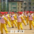 양지초교 이미지
