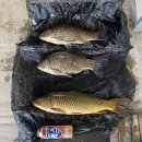 신원낚시터 | 신원낚시터 1박2일 후기 (4.22~23)(feat. 4짜 2마리 출연)