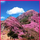영취산국밥 - 여수시 망양로 1270 | 영취산국밥