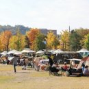 과천재즈피크닉 이미지