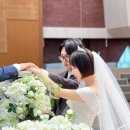 W29. 본식서브스냅 센스 넘치는 신부취향저격 오셰르가든