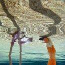 플라밍고 이미지