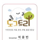 도그플러스 애견미용 이미지