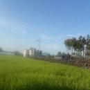 춘자펜션 이미지